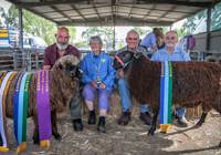 Hawkesbury Show Gallery