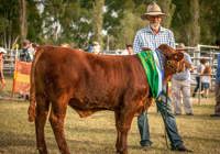 Hawkesbury Show Gallery