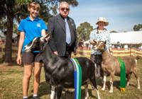 Hawkesbury Show Gallery