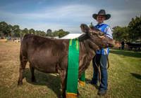 Hawkesbury Show Gallery