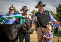 Hawkesbury Show Gallery